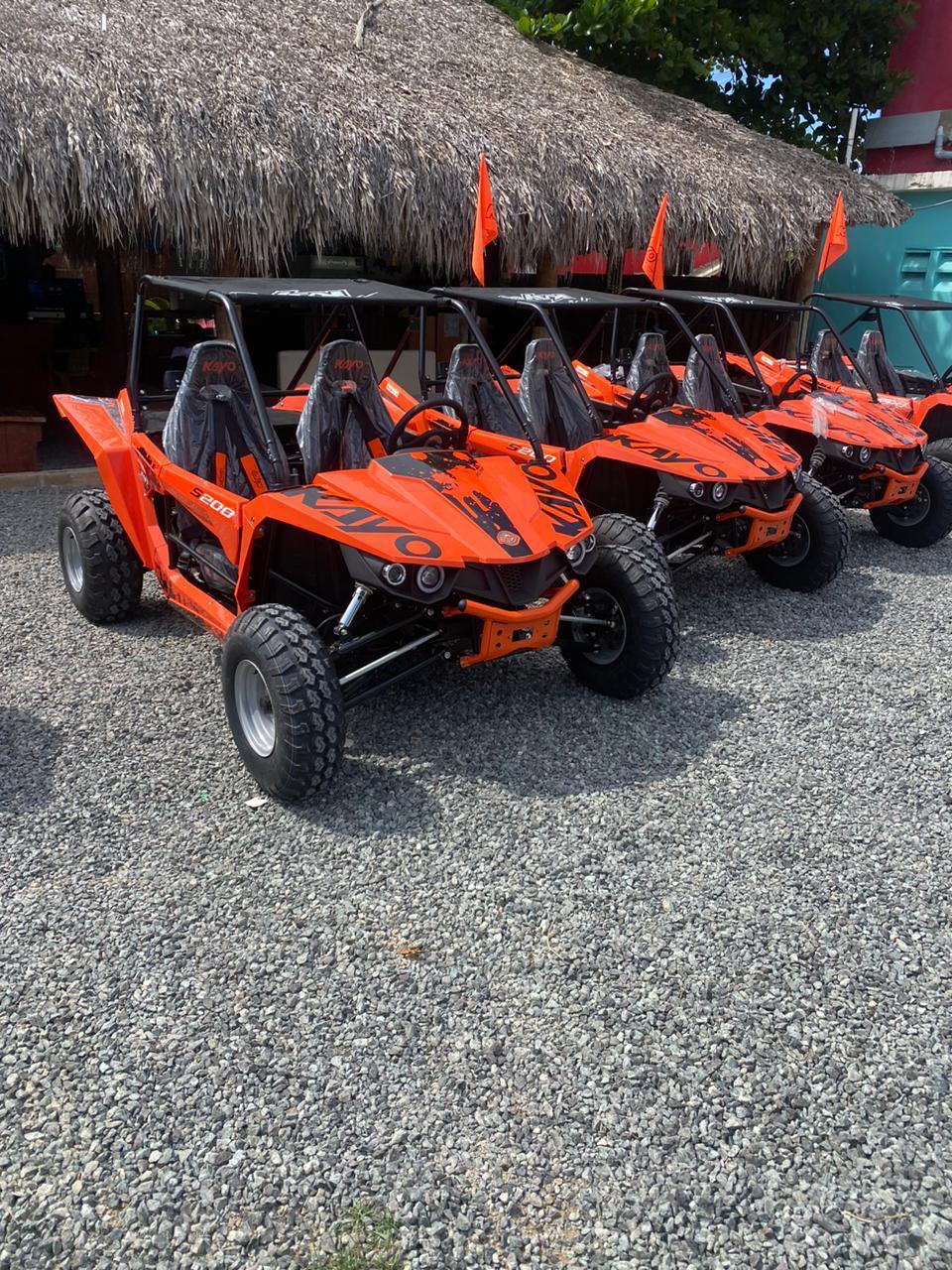Buggies desde Punta Cana - Imagen 7