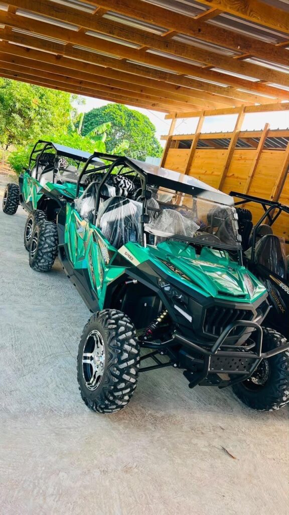 Cumayasa Buggies desde Santo Domingo